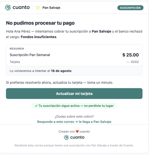 Email to the customer titled No pudimos procesar tu pago, with the decline reason and the update-card button.